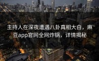 主持人在深夜遭遇八卦真相大白，麻豆app官网全网炸锅，详情揭秘