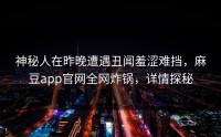 神秘人在昨晚遭遇丑闻羞涩难挡，麻豆app官网全网炸锅，详情探秘