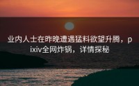 业内人士在昨晚遭遇猛料欲望升腾，pixiv全网炸锅，详情探秘