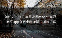 神秘人在今日凌晨遭遇madou炸裂，麻豆app官网全网炸锅，详情了解