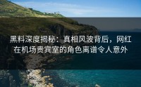 黑料深度揭秘：真相风波背后，网红在机场贵宾室的角色离谱令人意外
