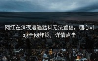 网红在深夜遭遇猛料无法置信，糖心vlog全网炸锅，详情点击