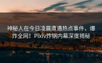 神秘人在今日凌晨遭遇热点事件，爆炸全网！Pixiv炸锅内幕深度揭秘