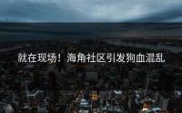 就在现场！海角社区引发狗血混乱