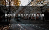 就在现场！海角入口引发狗血混乱