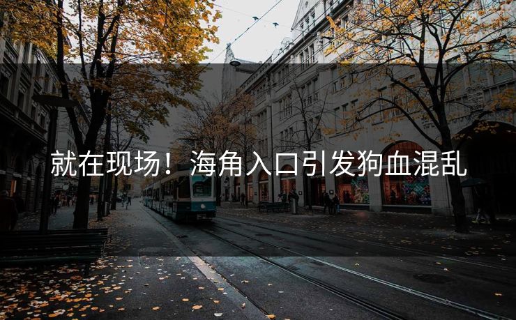 就在现场！海角入口引发狗血混乱