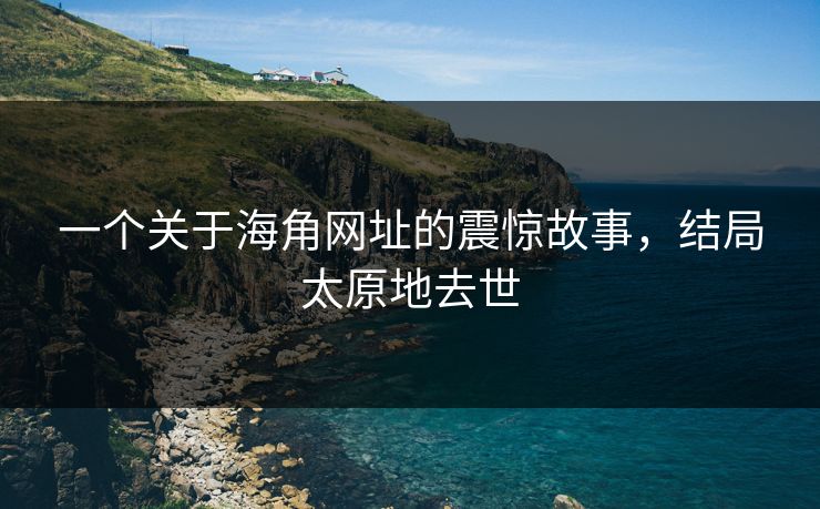 一个关于海角网址的震惊故事，结局太原地去世