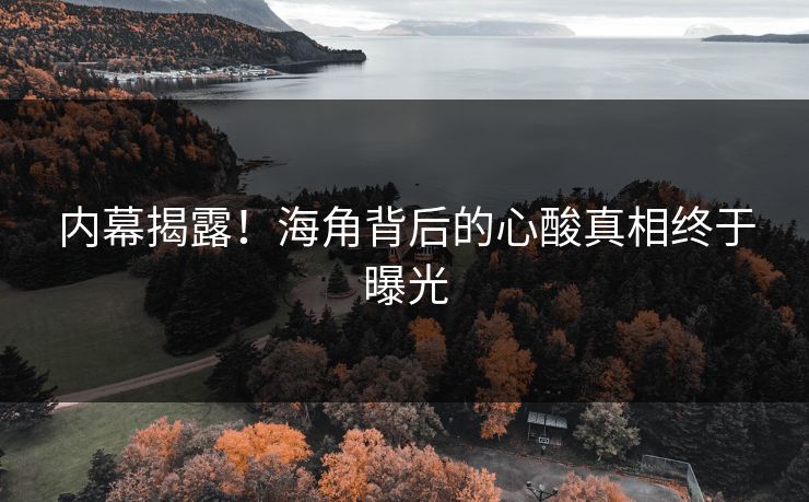 内幕揭露！海角背后的心酸真相终于曝光