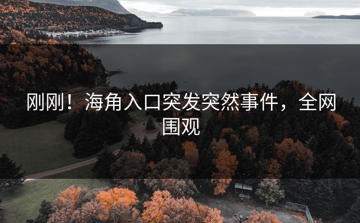 刚刚！海角入口突发突然事件，全网围观