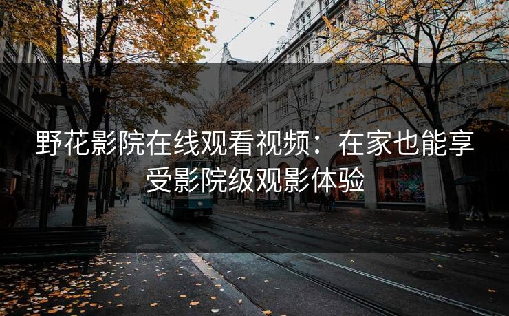 野花影院在线观看视频：在家也能享受影院级观影体验