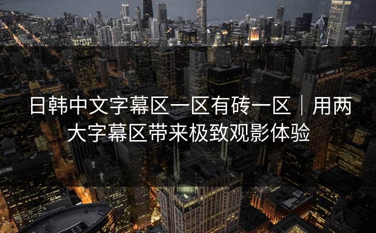 日韩中文字幕区一区有砖一区｜用两大字幕区带来极致观影体验