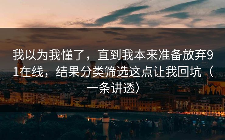 我以为我懂了，直到我本来准备放弃91在线，结果分类筛选这点让我回坑（一条讲透）